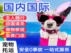 长海机场空运国际宠物托运 【国